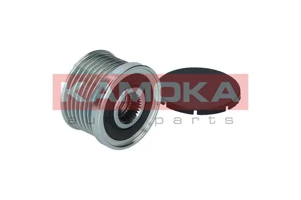 Alternator Freewheel Clutch