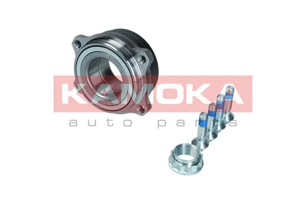 Wheel Bearing Kit (5500301)