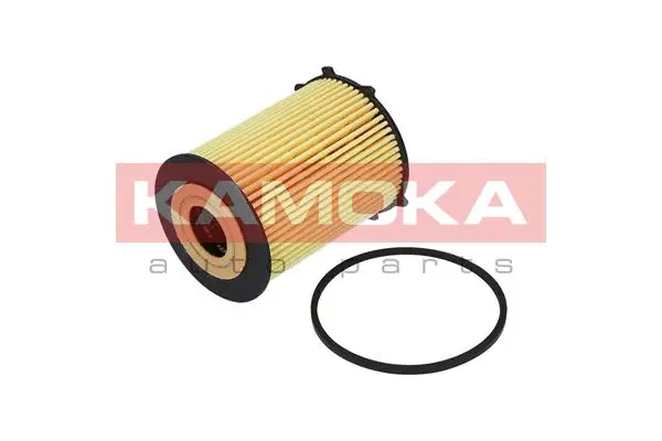 Oil Filter (F110401)