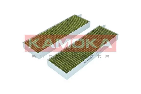 Filter, cabin air (6080048)