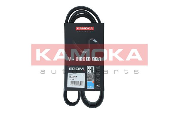 V-Ribbed Belt (7017013)