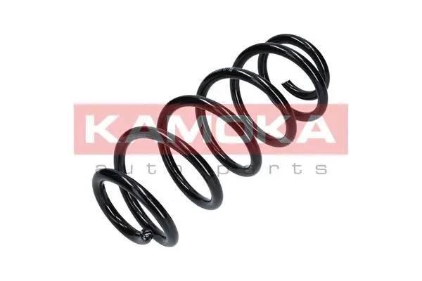 Suspension Spring (2110102)