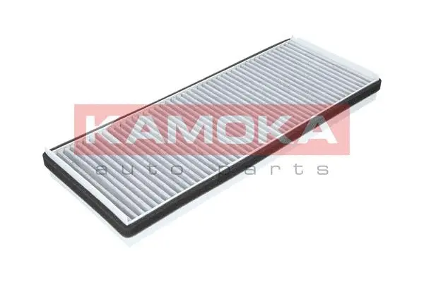 Filter, cabin air (F504201)