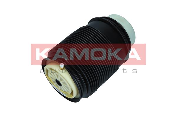 Air Spring, suspension