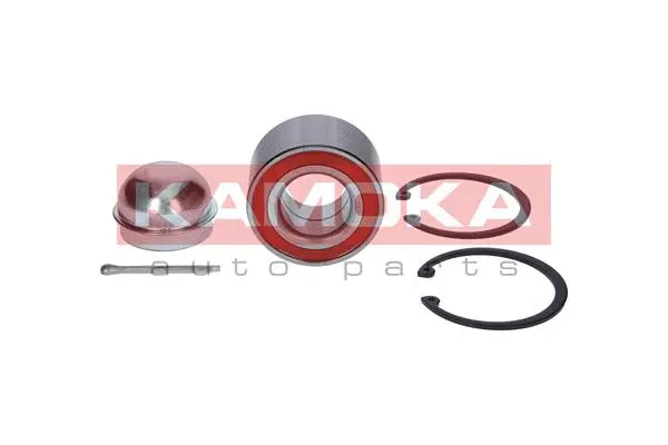 Wheel Bearing Kit (5600047)