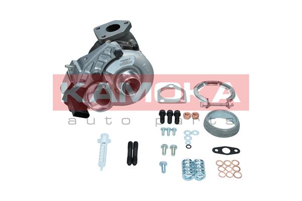 Charger, charging (supercharged/turbocharged) (8600067)