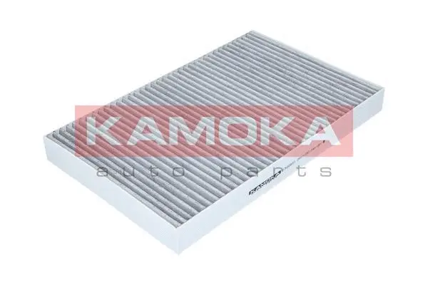 Filter, cabin air (F500801)
