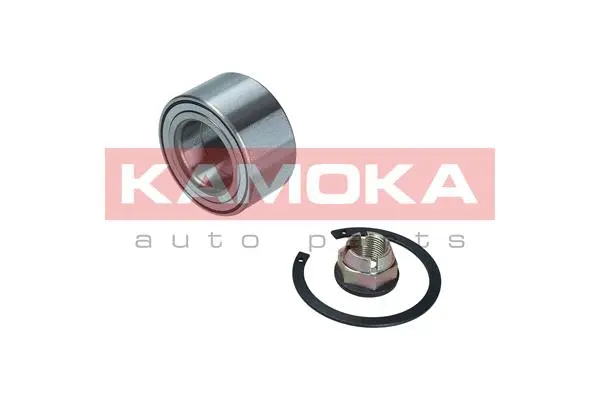 Wheel Bearing Kit (5600100)