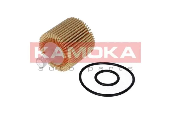 Oil Filter (F112101)