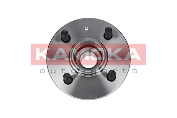 Wheel Bearing Kit (5500021)