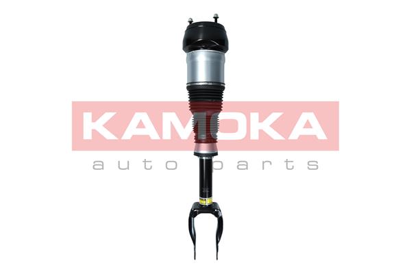 Air Suspension Strut (2070002)