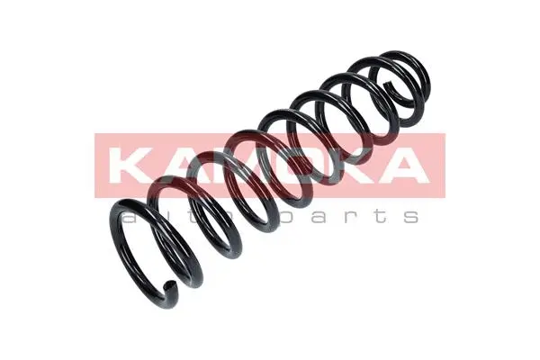 Suspension Spring (2110184)