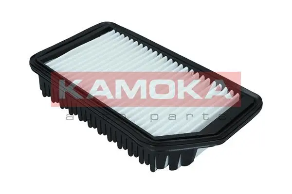 Air Filter (F246901)