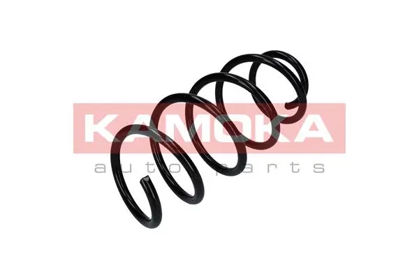 Suspension Spring (2110360)