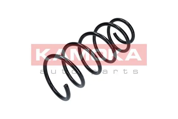 Suspension Spring (2110269)