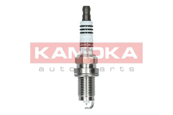 Spark Plug (7100031)