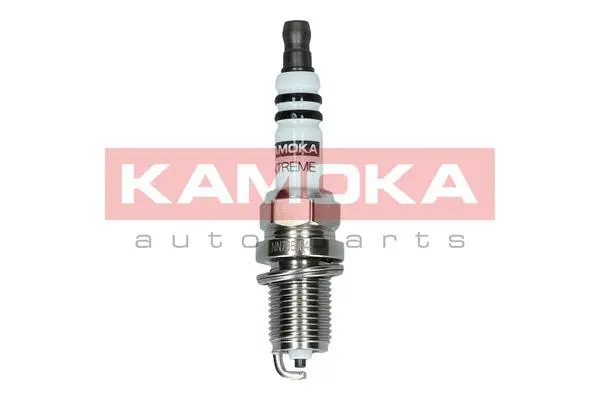 Spark Plug (7090511)