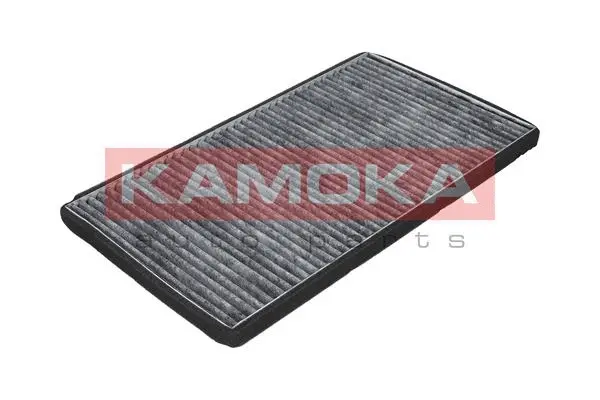 Filter, cabin air (F500501)