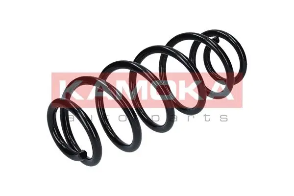 Suspension Spring (2110268)