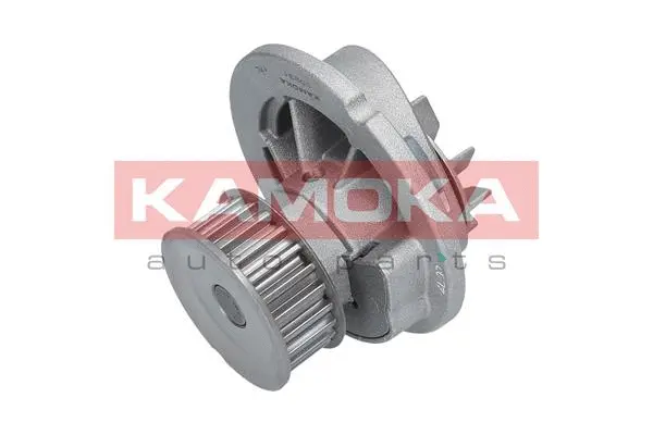 Water Pump, engine cooling (T0231)