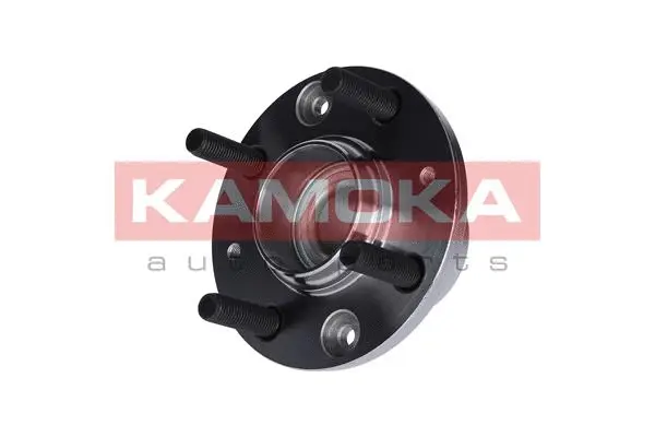 Wheel Bearing Kit (5500014)