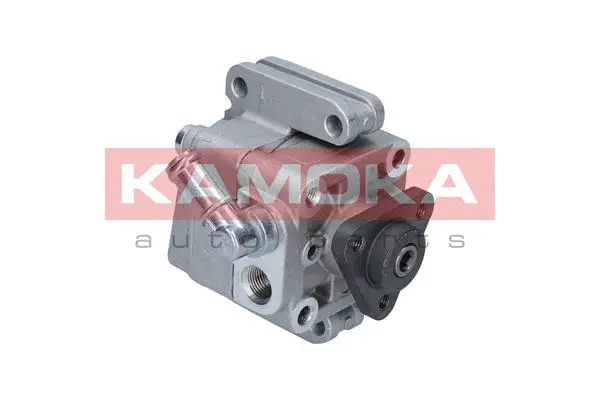 Hydraulic Pump, steering (PP030)