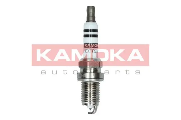 Spark Plug (7090004)