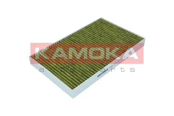 Filter, cabin air (6080004)