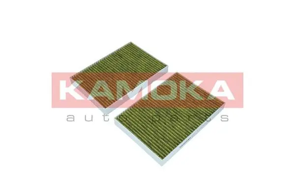 Filter, cabin air (6080042)