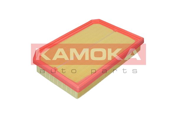 Air Filter (F257201)