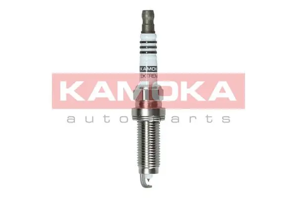 Spark Plug (7100046)