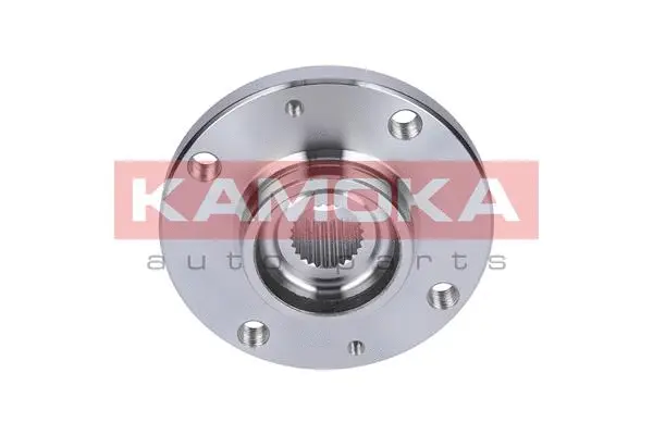 Wheel Hub (5500114)