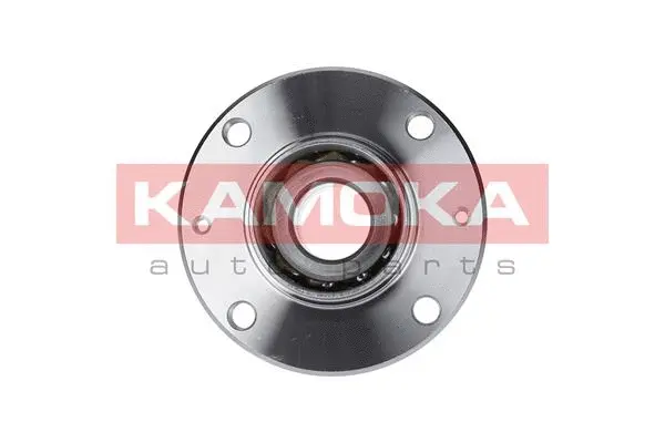 Wheel Bearing Kit (5500042)