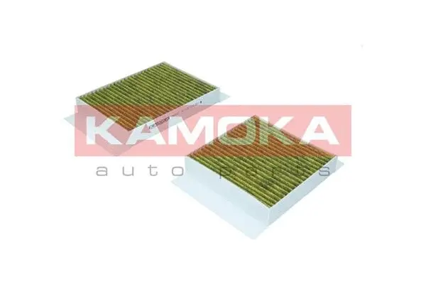 Filter, cabin air (6080040)