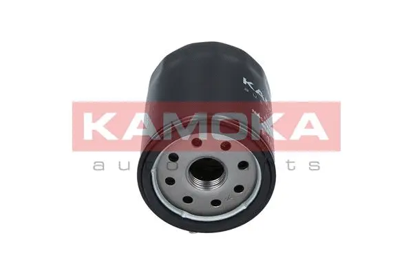 Oil Filter (F103901)