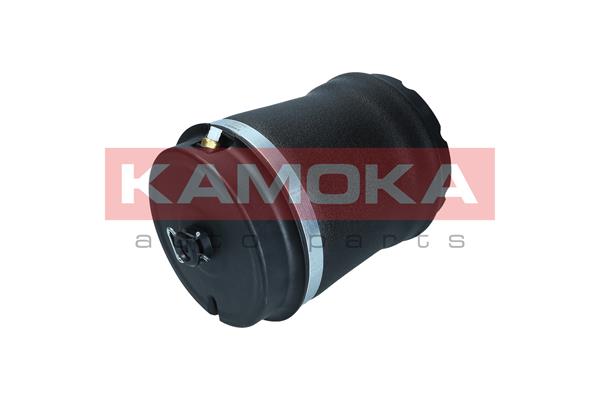 Air Spring, suspension (2079032)