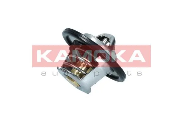 Thermostat, coolant (7710079)