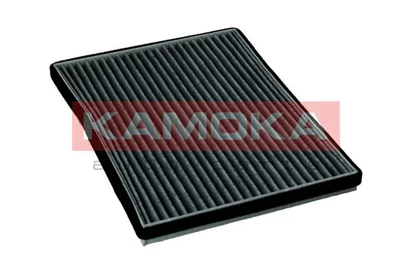 Filter, cabin air (F519901)