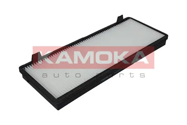 Filter, cabin air (F409401)