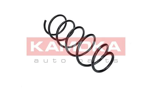 Suspension Spring (2110217)