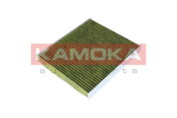 Filter, cabin air (6080107)