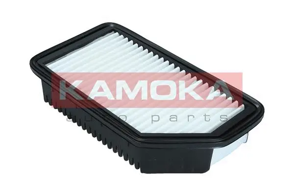Air Filter (F247001)