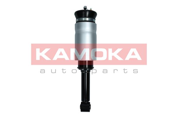 Air Suspension Strut