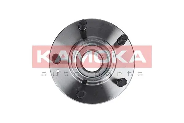 Wheel Bearing Kit (5500046)