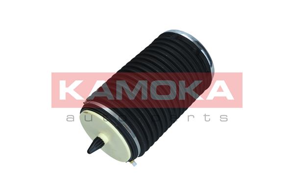 Air Spring, suspension (2079003)