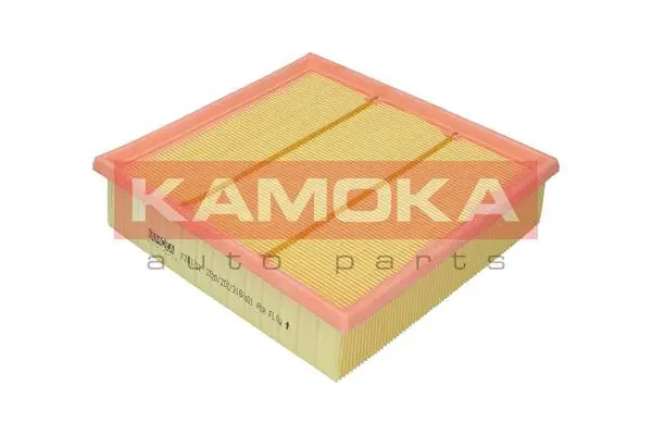 Air Filter (F241701)
