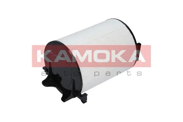 Air Filter (F215501)