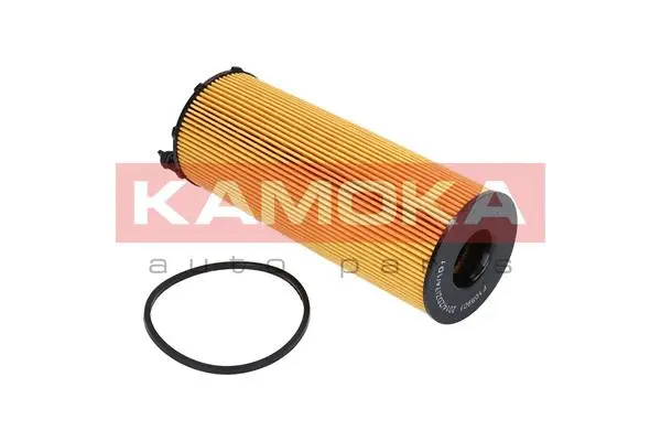 Oil Filter (F109901)
