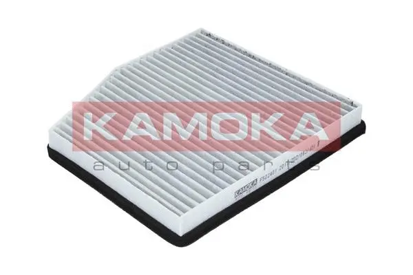 Filter, cabin air (F502401)