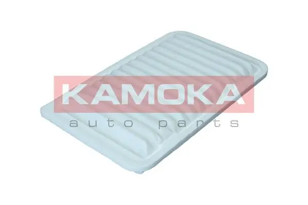 Air Filter (F251501)